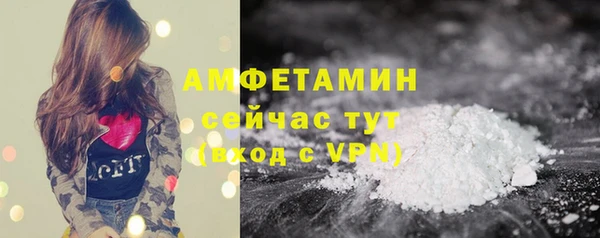 шишки Алексин