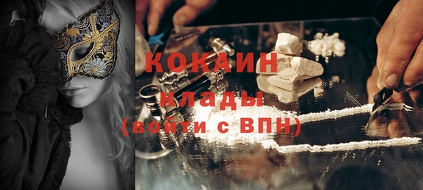 прущие грибы Богданович