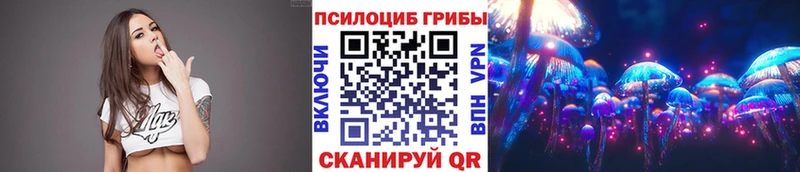 мориарти какой сайт  купить наркотики сайты  Георгиевск  Галлюциногенные грибы мицелий 